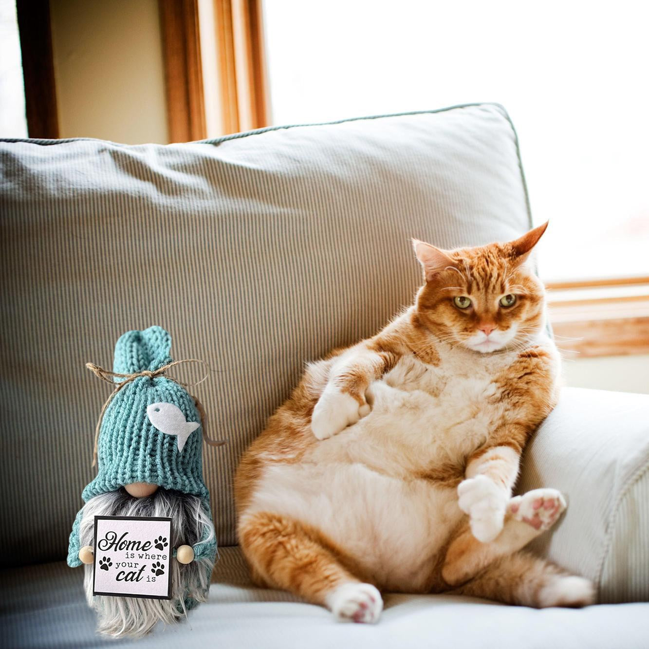 Décoration d'intérieur naine (pour les amoureux des chiens et des chats).