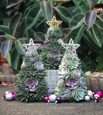 🎁Handmade Surprise Christmas gift🎄Succulent Christmas Tree