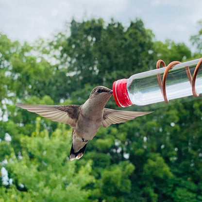 🔥Dernier jour 70 % de réduction🔥Mangeoire à colibris à fenêtre géométrique🐦