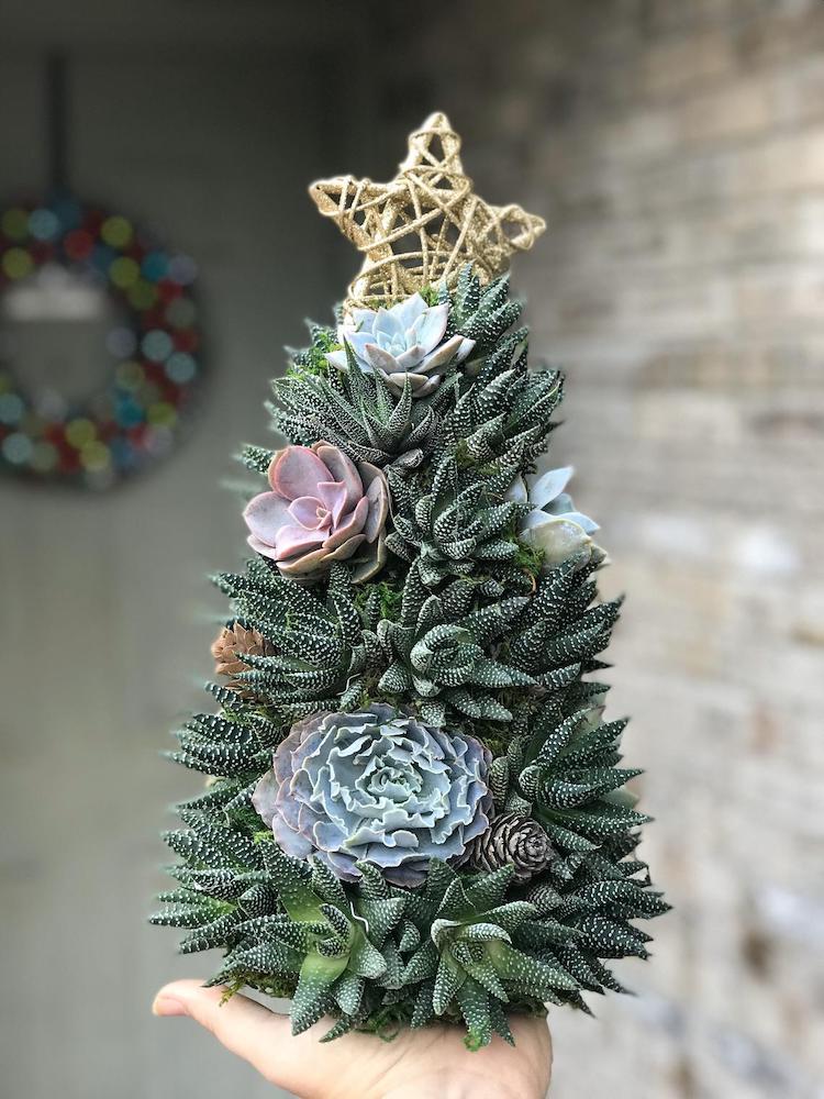 🎁Handmade Surprise Christmas gift🎄Succulent Christmas Tree