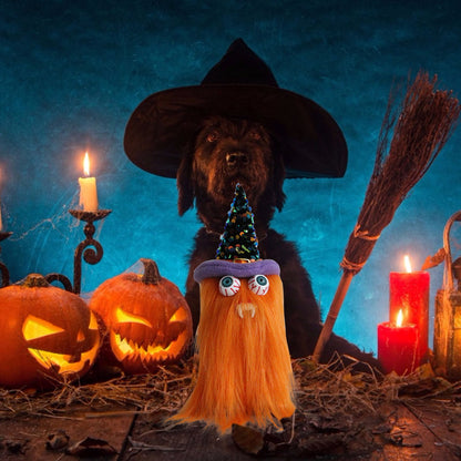 Gnome de sorcière d'Halloween