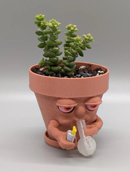 (❤️✨Promotion du dernier jour - 50 % de réduction) Pot à fumer en pot pour plantes succulentes ou plantes d'intérieur déchirant un bang 
