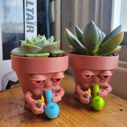 (❤️✨Promotion du dernier jour - 50 % de réduction) Pot à fumer en pot pour plantes succulentes ou plantes d'intérieur déchirant un bang 
