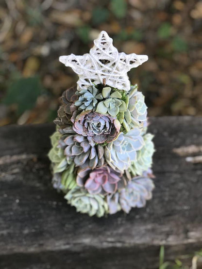 🎁Handmade Surprise Christmas gift🎄Succulent Christmas Tree